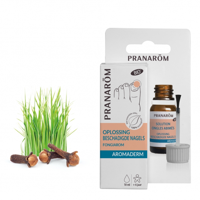 Pranarom Фонгиаром против гъбички Pranarom Фонгиаром против гъбички Гъбчните инфекции са често срещани. Редовно се наблюдава засягане а кожата, ноктите и други части на тялото. За справянето с този дискомфорт е създаден Pranarom Фонгиаром против гъбички. Натурален проукт съдържащ в себеси мощни етеричи масла със силни противогъбични свойства. С тази си характеристика от Pranarom ви предлагат алтернативна и безопасна формула, с кото да поддържате здравето на кожата и ноктите си. Основни Съставки и Техните Ползи на Pranarom Фонгиаром против гъбички Чаено дърво – Естествен Противогъбичен Агент: Чаеното дърво е една от най-популярните съставки за борба с гъбичките, благодарение на своите мощни антисептични и противовъзпалителни свойства. То не само помага да се справите с инфекцията, но също така предотвратява повторната й поява. Лавандула – Успокоява и Защитава: Лавандулата е известна със своето успокояващо действие и е чудесен помощник в грижата за раздразнена и възпалена кожа. Тя подпомага регенерацията на кожата и спомага за бързото възстановяване на засегнатите зони. Карамфил – Силно Противогъбично Действие: Карамфиловото масло е мощен естествен дезинфектант, който ефективно унищожава гъбичните спори и бактерии. Освен това, то притежава аналгетични свойства, които намаляват болката и дискомфорта. Мента – Освежава и Облекчава: Маслото от мента придава приятно усещане за охлаждане и облекчение, като същевременно помага за намаляване на сърбежа и раздразнението. Препоръки за употреба: Нанесете няколко капки от лосион върху засегнатото място един-два пъти на ден до пълното унищожаване на проблема (лечението може да продължи и няколко седмици!). Предпазни мерки – Да се съхранява на място, недостъпно за малки деца. – Без лекарски или фармацевтичен съвет, да не се използва по време на бременност и кърмене; да не се използва при деца под 3 години. – Да се пази от източници на светлина и топлина. Защо да Изберете Pranarom Фонгиаром против гъбички? Натурална и Био Формула Ефективност срещу Различни Видове Гъбички Улеснена Употреба Подходящ за Възрастни и Деца над 3 години Pranarom води началото си от 1991 година. Идеята за създаването на компанията е на един от най-признатите в световен мащаб фармацевти и ароматолози - Доминик Баду. Pranarom е утвърдена марка, която има дългогодишен опит в арома и фитотерапията. Компанията е създадена в Белгия. Отличително за нея е научно обоснования подход към аромотерапията. Pranarom съчетават традиционните знания с модерни и научни изследвания. Pranarom Фонгиаром против гъбички Основен Фокус на Pranarom е поддържане на здравето и баланса на организма чрез предоставените от тях натурални и ефективни продукти. Те са с гарантирана безопасност и висока ефективност, дължаща се на стриктния контрол на качеството в производствения процес. Pranarom Фонгиаром против гъбички Pranarom предлагат разнообразна гама от продукти част от които са чисти етерични масла и готови смеси. Те са силно подходящи за дифузия, локално приложение или приемане във вид на капсули. Продуктите на Pranarom помагат за подобряване на имунитета, облекчаване на стреса и участие в грижата на съня и кожата. Pranarom Фонгиаром против гъбички Погрижете се за вашето здраве от рано и разгледайте разнообразната гама продукти на Pranarom в нашия онлайн магазин aptekata.online